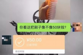 惠东债务清欠服务